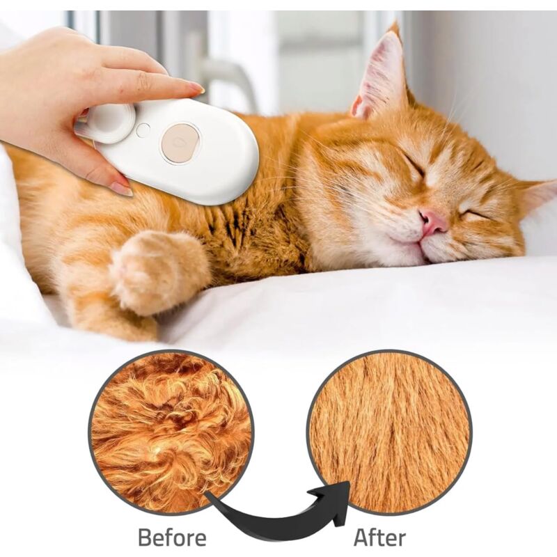Electric Steam Brush for Dogs & Cats | Coat Care Detangling Relaxing Massage | USB Rechargeable