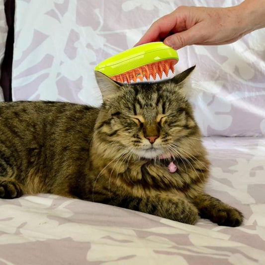 Yellow Multifunctional Pet Steam Grooming Brush | Cats & Dogs