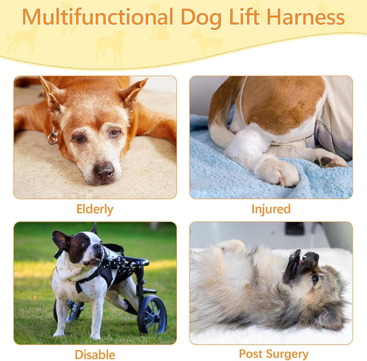 Dog Lift Harness Sling for Large Dogs | Rear Leg Support Mobility Aid