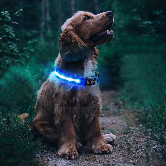 Luminous LED Pet Dog Collar Light-up USB Rechargeable Dog Collar Blue