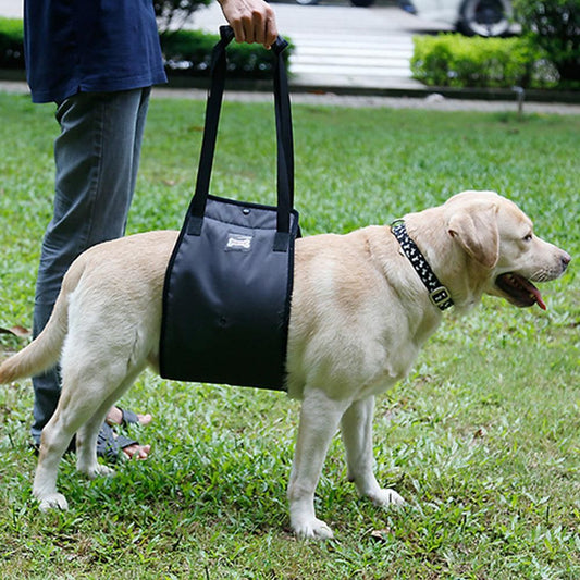 Pet Dog Support Harness Walking Vest Dog Sling Support Sling Gray - S