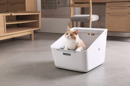 PETKIT Pura Automatic Cat Litter Box | Self-Cleaning