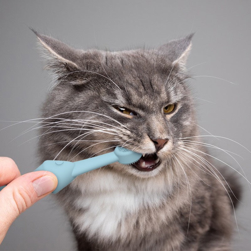Blue Silicone Pet Toothbrush 6-Pack | Fish & Bone Shape | Food-Grade | Dogs & Cats