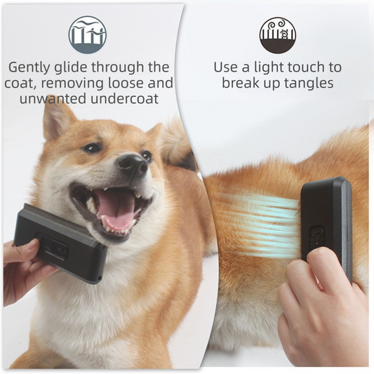 Black 2-in-1 Self-Cleaning Pet Grooming Comb | Fur Removal