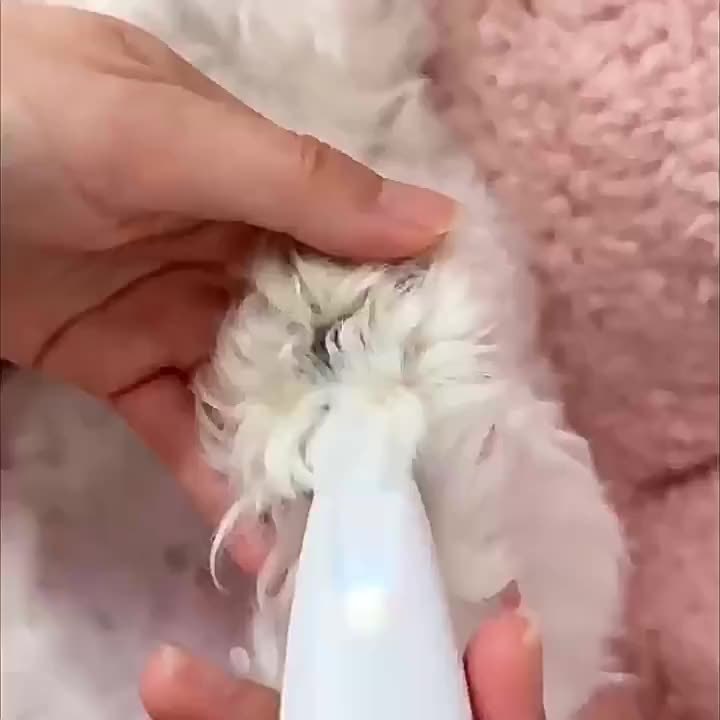 Low-Noise Pet Clipper with Spare Blade | Dog & Cat