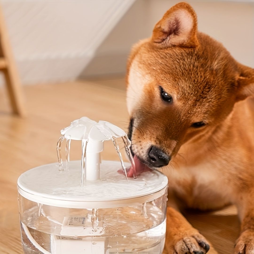 Large Capacity Cat Water Fountain | USB Low Voltage Auto Pet Water Feeder