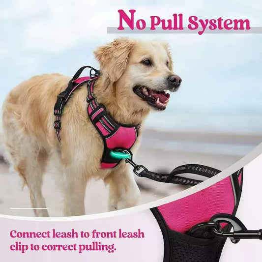 Anti-escape dog harness & leash | dogs. (2)