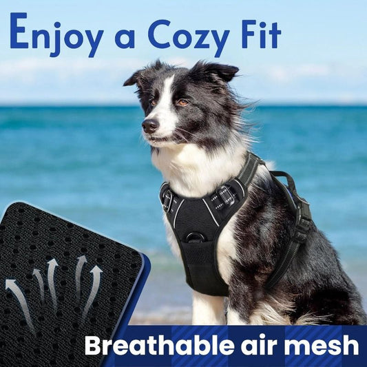 Anti-escape dog harness & leash