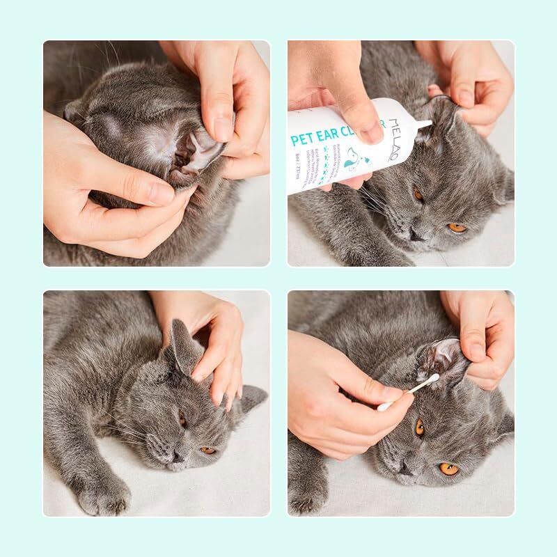 Ear Cleanser for Dogs & Cats | Deep Ear Wash Removes Wax Odour & Moisture | Long Nozzle