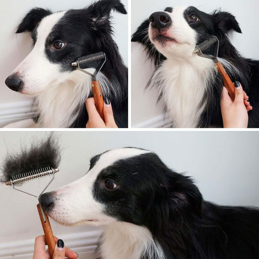 Coat King Dematting Rake & Deshedding Grooming Comb | Dog & Cat