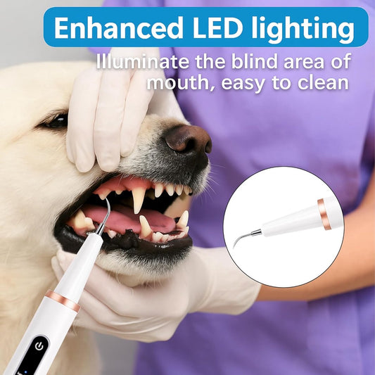 Electric Pet Dental Toothbrush | Dog & Cat