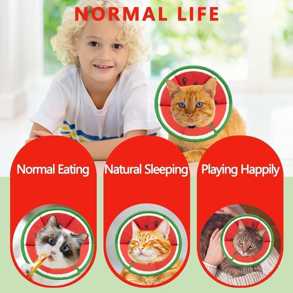 Red Soft Velcro Recovery Collar | Post-Surgery Protection | Adjustable | Cats & Small Dogs | S