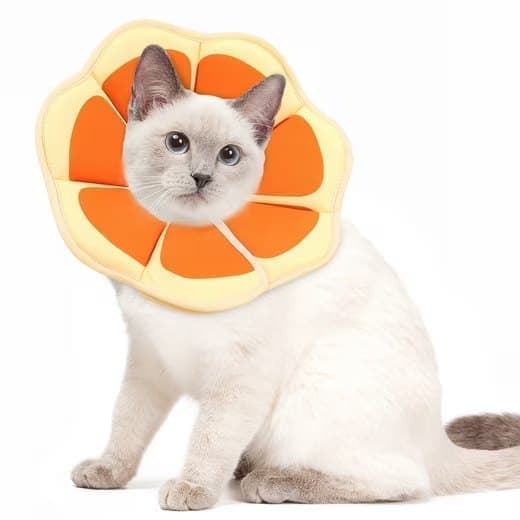 Orange Adjustable Protective Recovery Collar with Velcro | Size S