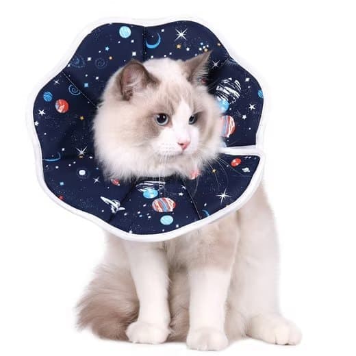 Adjustable Protective Recovery Collar with Velcro | Size M