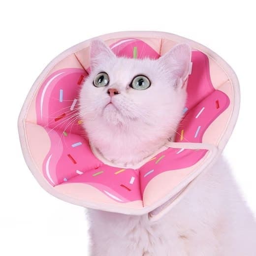 Pink Adjustable Protective Recovery Collar with Velcro | Size M