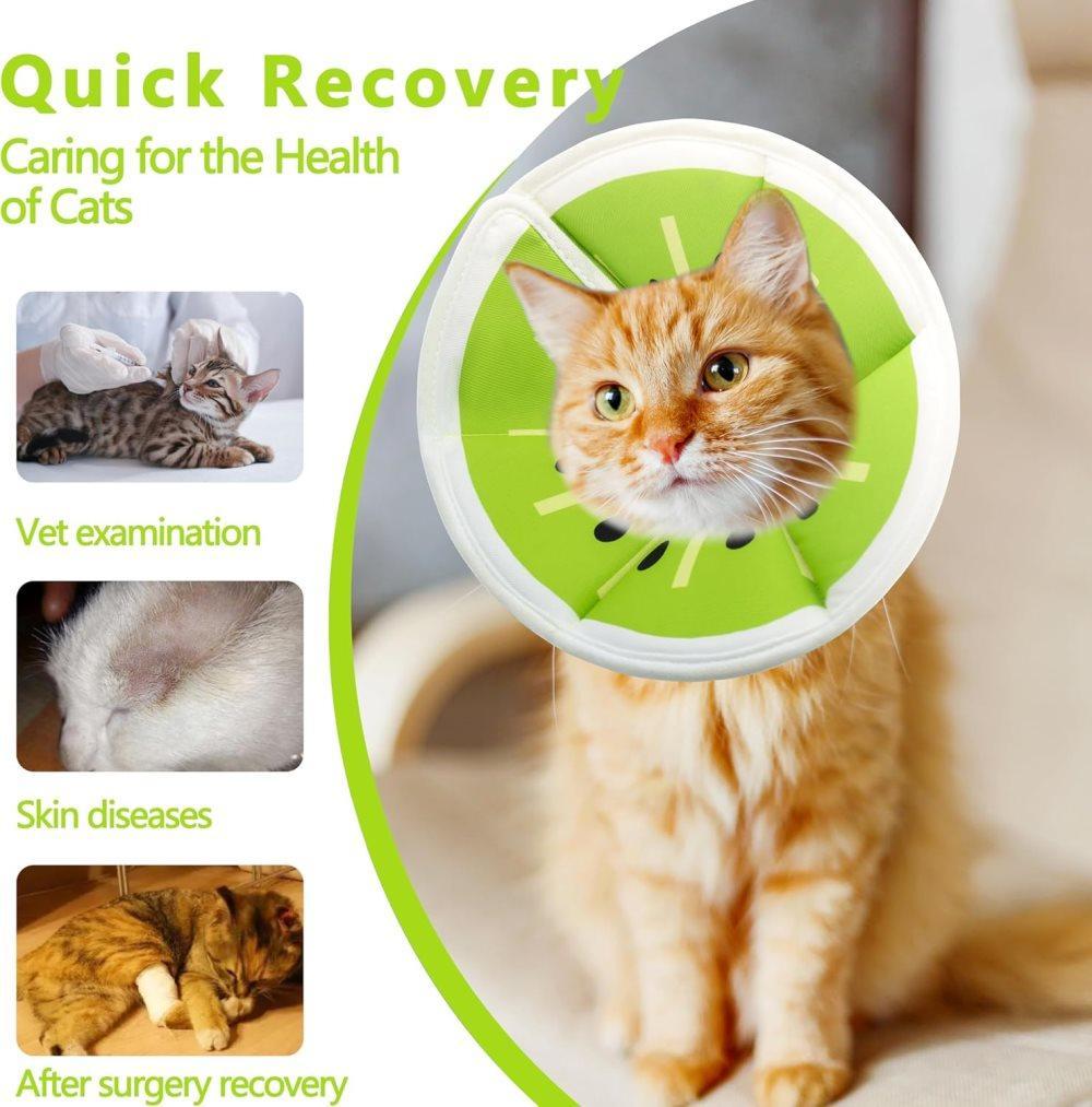 Green Adjustable Protective Recovery Collar with Velcro | Cats & Dogs | Size M