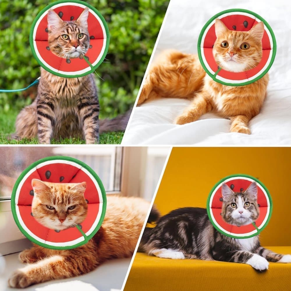 Red Adjustable Protective Recovery Collar with Velcro | Cats & Dogs | Size M