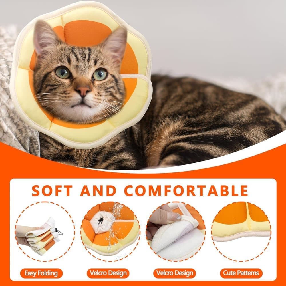 Orange Adjustable Protective Recovery Collar with Velcro | Cats & Dogs | Size M