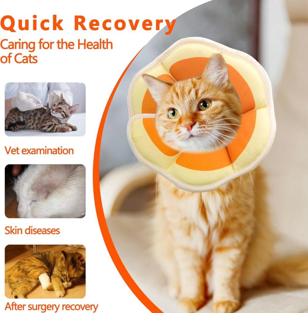 Orange Adjustable Protective Recovery Collar with Velcro | Cats & Dogs | Size M