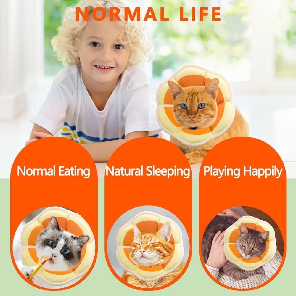 Orange Adjustable Protective Recovery Collar with Velcro | Cats & Dogs | Size M
