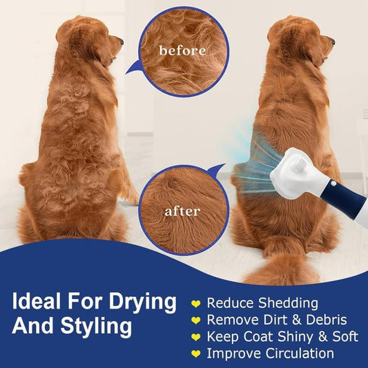 Blue 3-in-1 Pet Hair Dryer with Brush | Dog & Cat