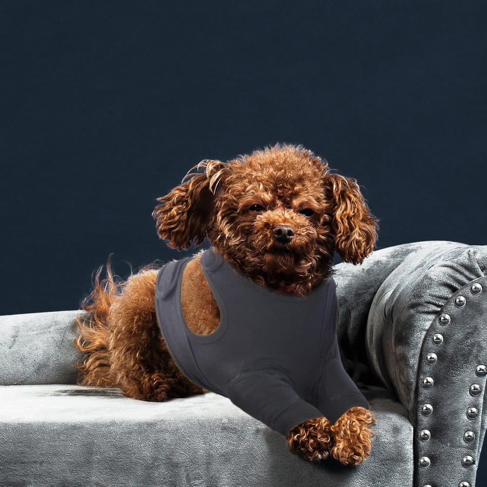 Light Gray 3XL Dog Elbow Protector | Anti-Sore Joint Pad | Large Breed