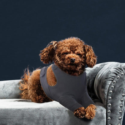 Light Gray 3XL Dog Elbow Protector | Anti-Sore Joint Pad | Large Breed