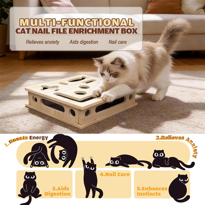 Multi-Functional Cat Claw Care Enrichment Box