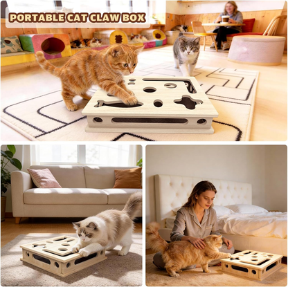 Multi-Functional Cat Claw Care Enrichment Box