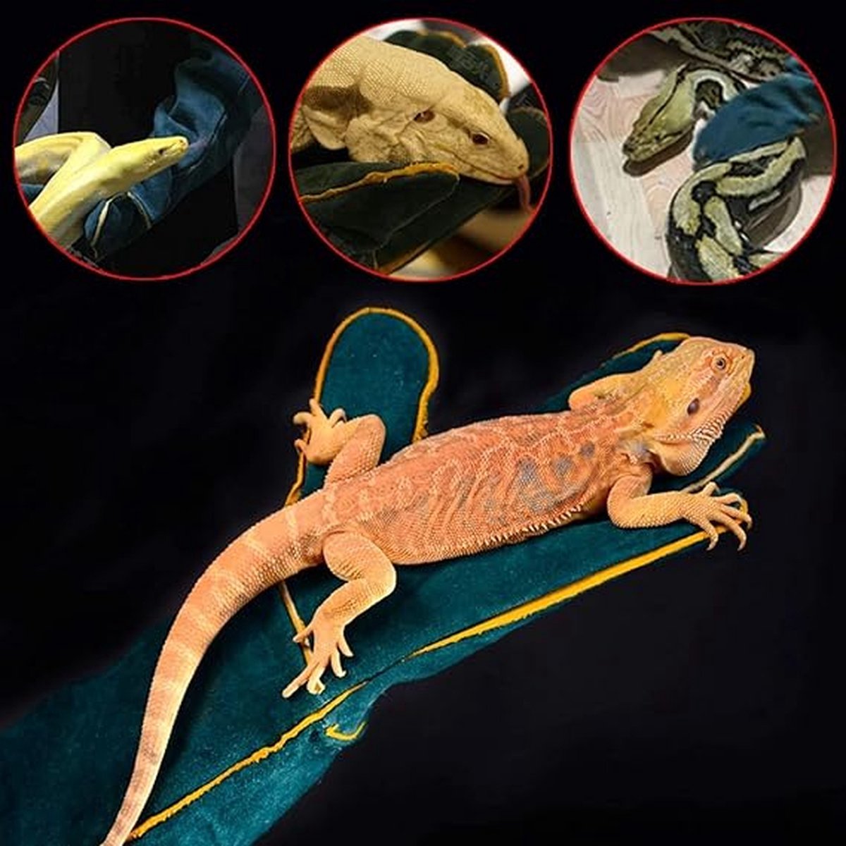 Pet Anti-Bite Protection Gloves | Anti-Scratch Abrasion-Resistant Leather | 60cm