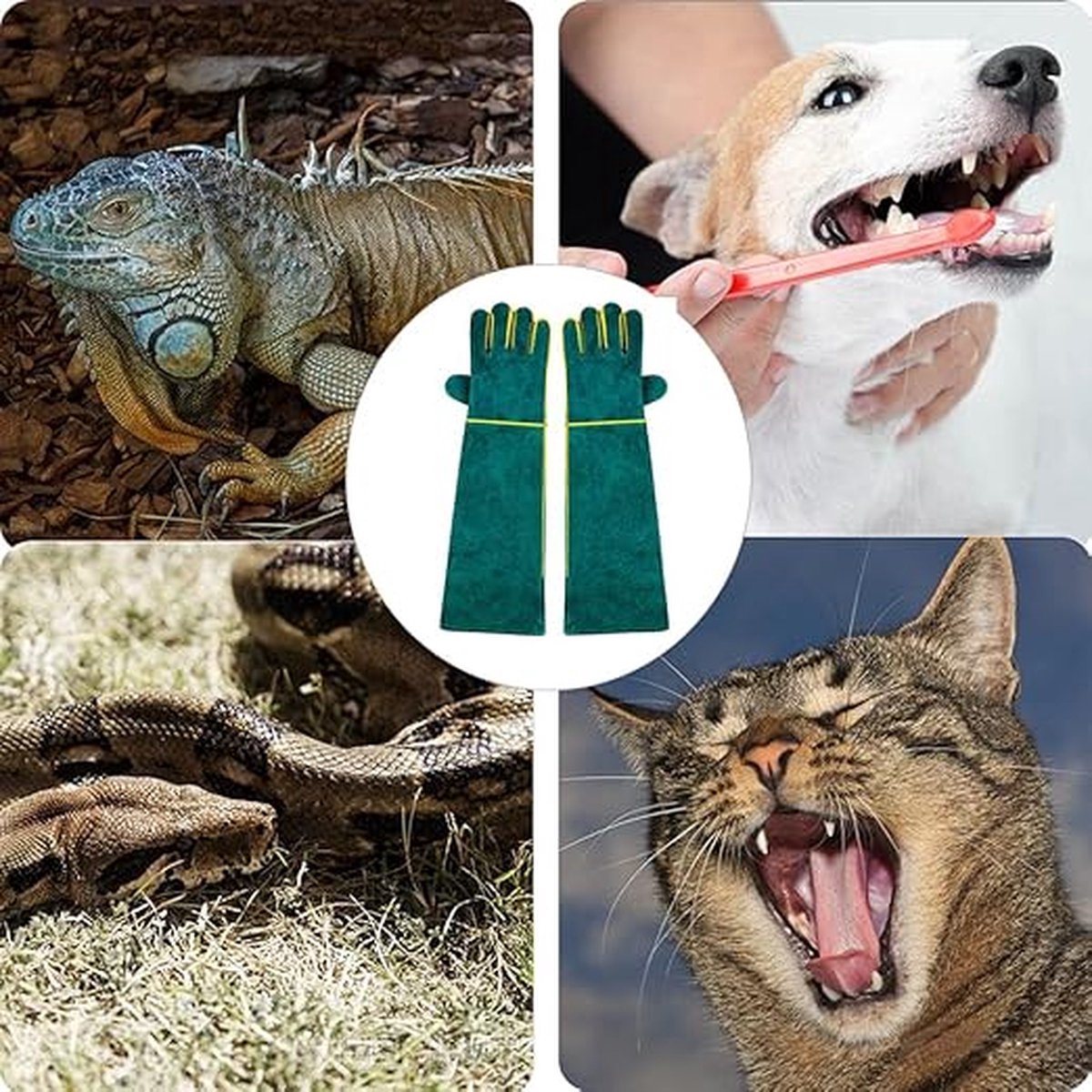 Pet Anti-Bite Protection Gloves | Anti-Scratch Abrasion-Resistant Leather | 60cm