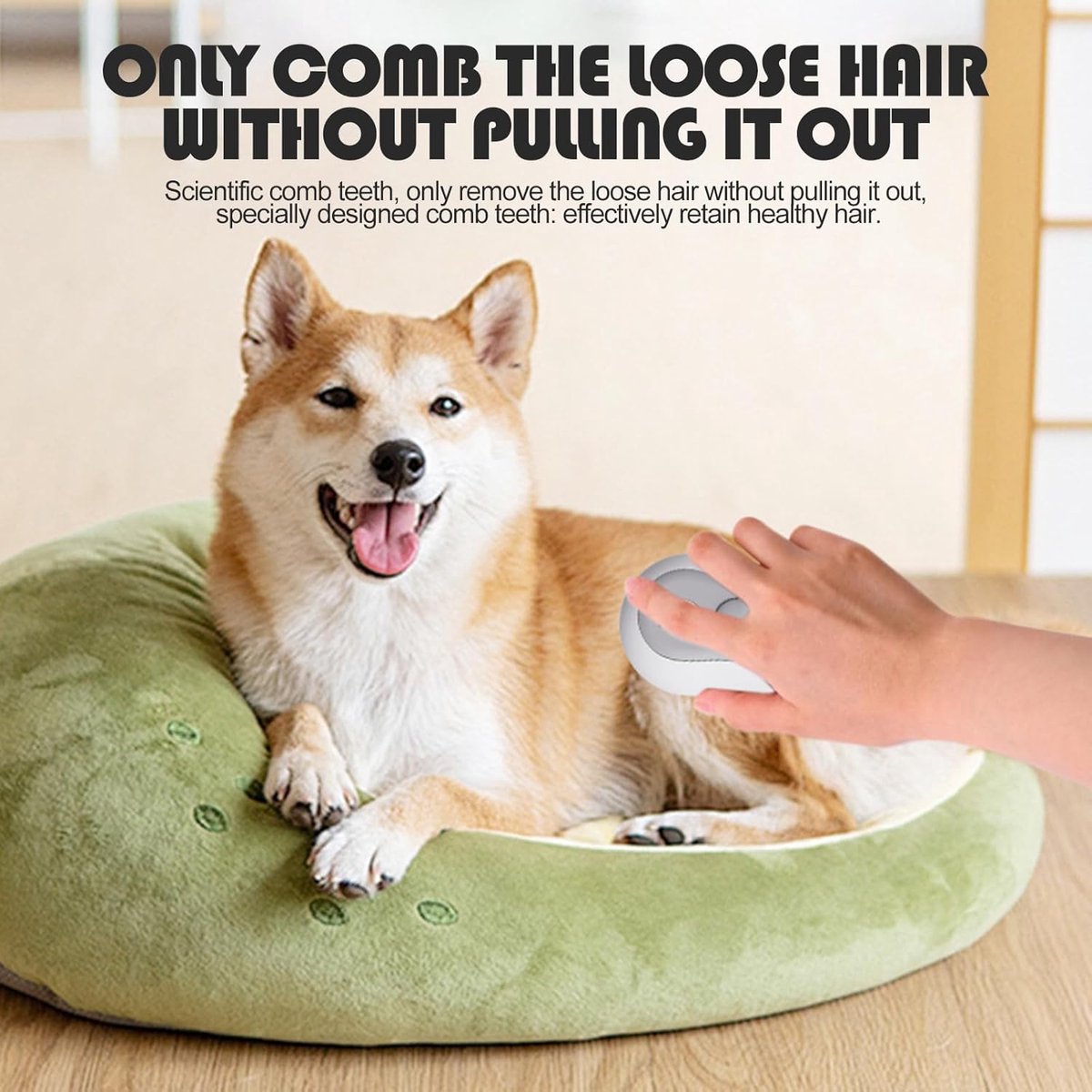 3-in-1 Pet Steam Brush | USB Massage Comb & Hair Remover | Self-Cleaning | Dog & Cat