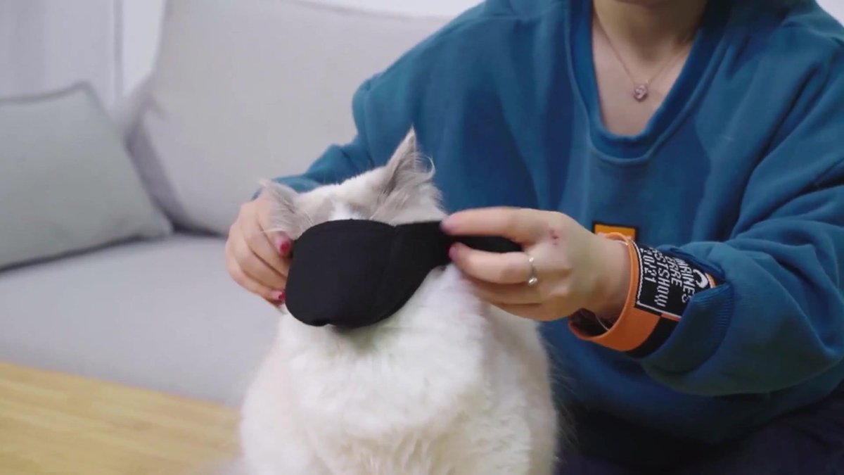 6-Pack Breathable Cat Muzzle | Size L | Travel Vet Visits Grooming | Nylon