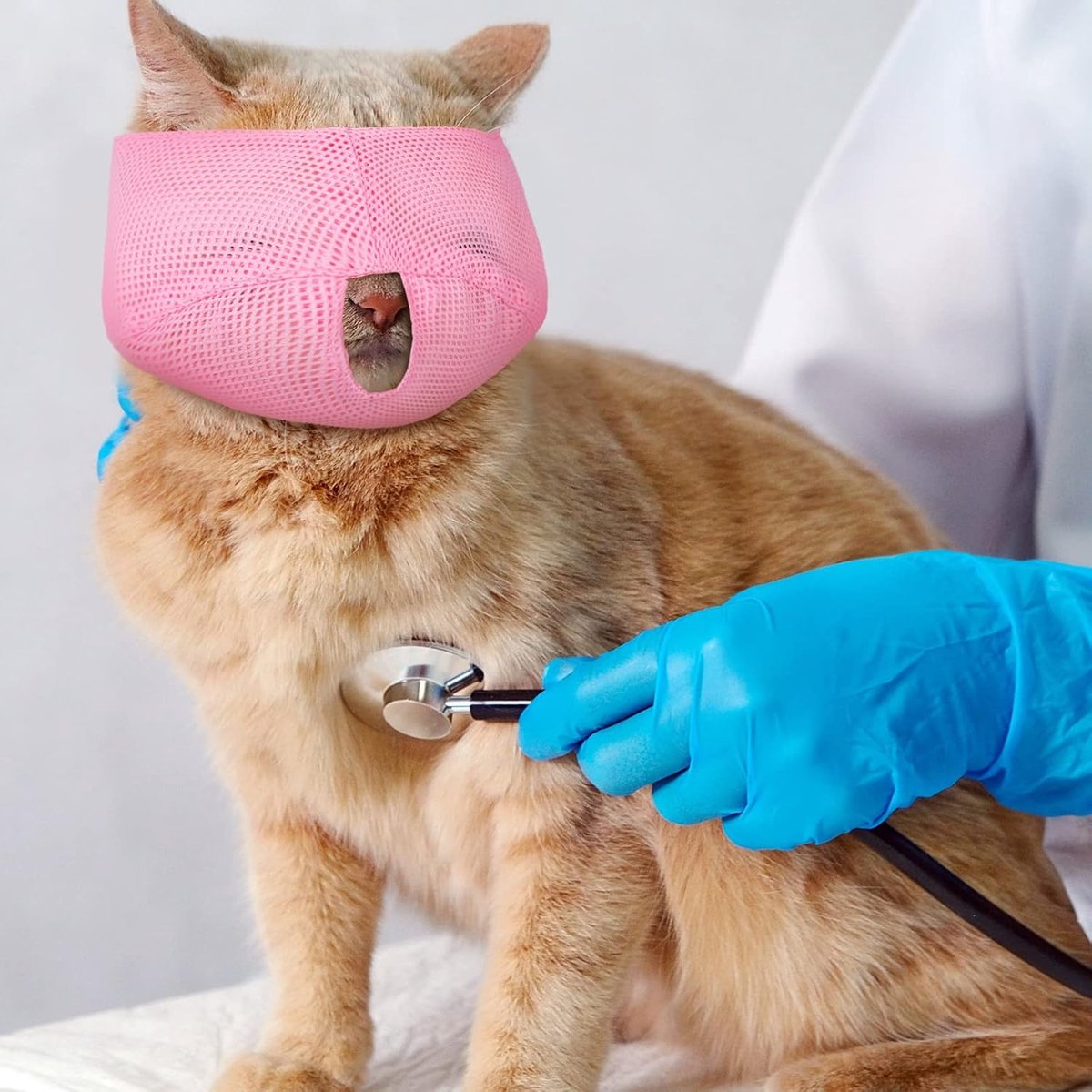 6-Pack Breathable Cat Muzzle | Size L | Travel Vet Visits Grooming | Nylon