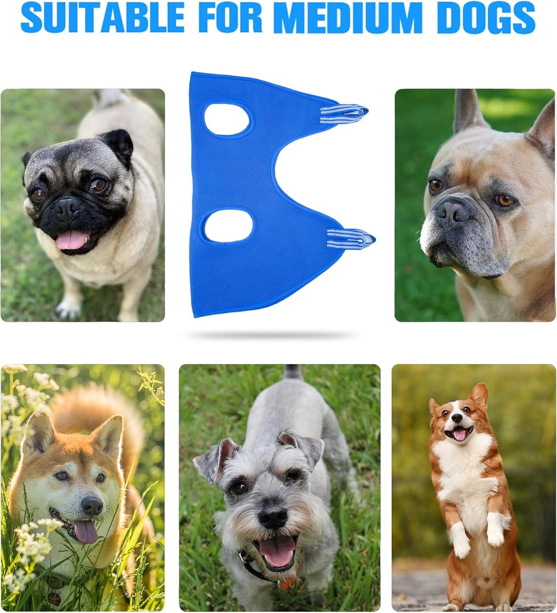11-Piece Pet Grooming Hammock | Cat & Dog Nail Trimming Harness | Size S | Blue