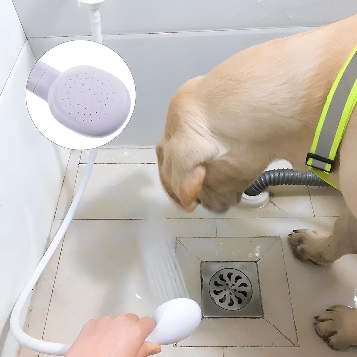 Pet Bath & Shower Set | Dog & Cat Shower Head & Sprayer | Garden Hose Compatible | White
