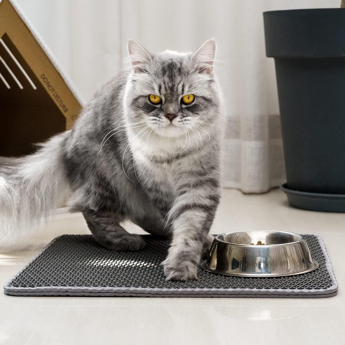 Black Double Layer Cat Litter Mat | Waterproof Grit Catcher | 30 x 45 cm