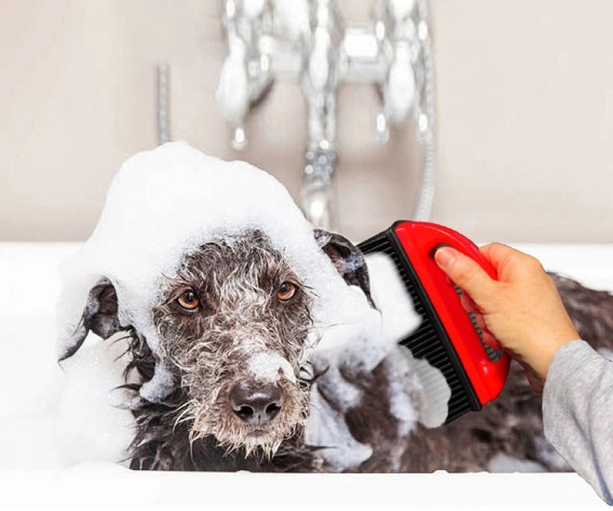 Red Rubber Pet Hair Remover | Dog & Cat Fur from Clothing, Furniture & Car Interiors