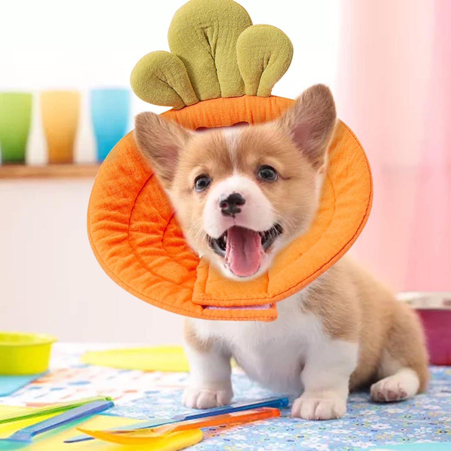Carrot Shape Soft Pet Cone Collar | Prevents Licking & Biting | Post-Surgery Recovery | Small