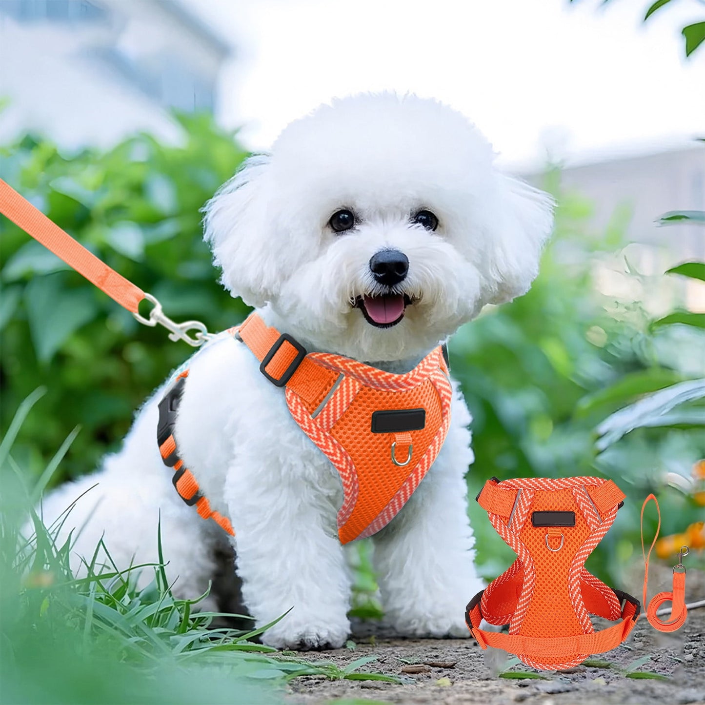 Orange Reflective Step-In Dog & Cat Harness with Lead | Small & Medium Pets