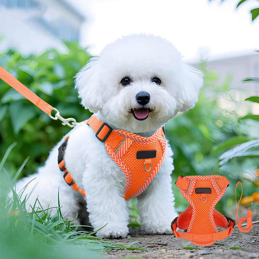 Orange Reflective Step-In Dog & Cat Harness with Lead