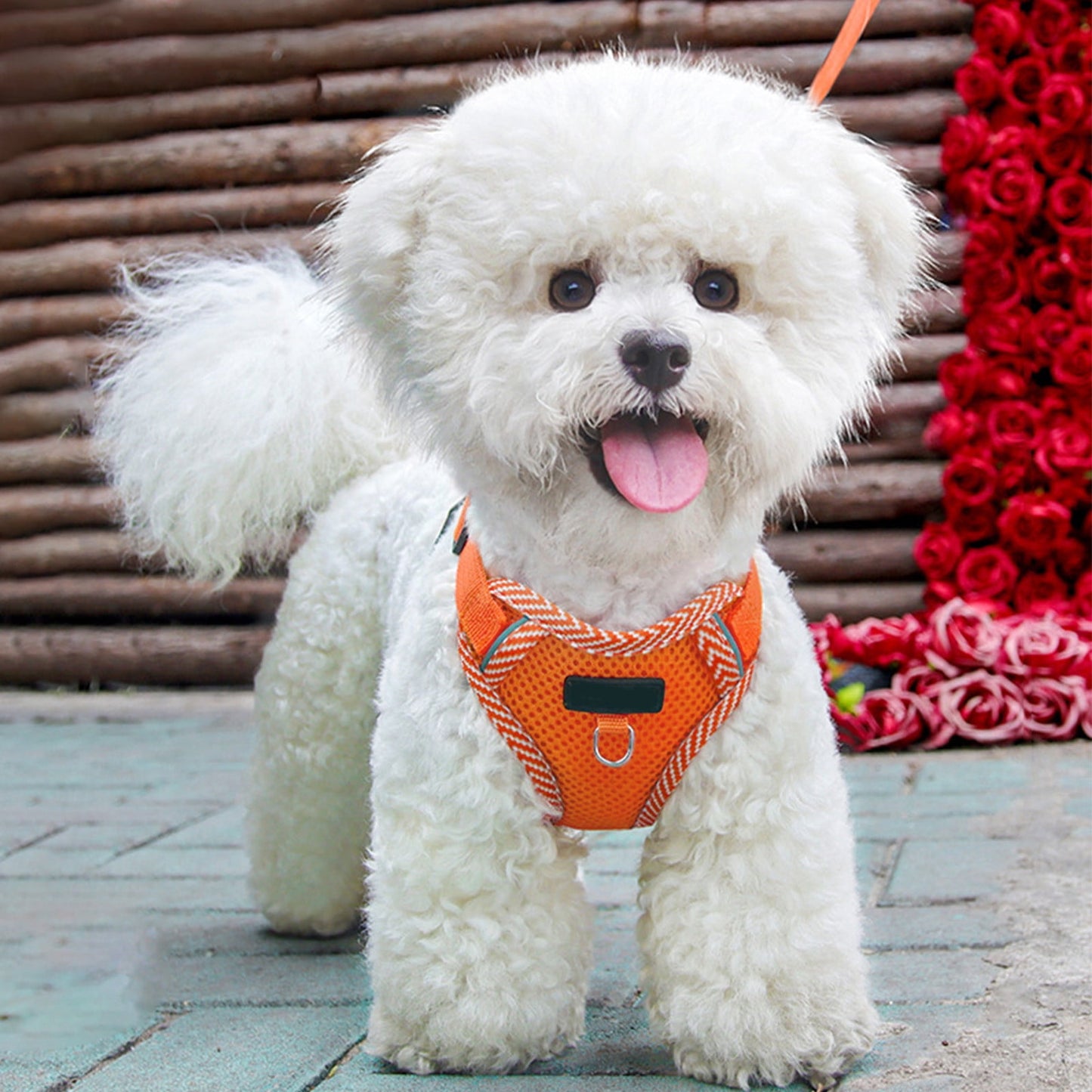 Orange Reflective Step-In Dog & Cat Harness with Lead | Small & Medium Pets