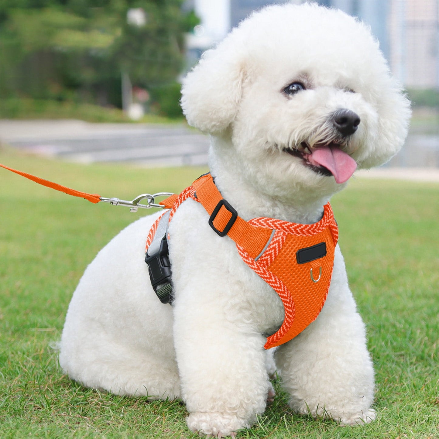 Orange Reflective Step-In Dog & Cat Harness with Lead | Small & Medium Pets