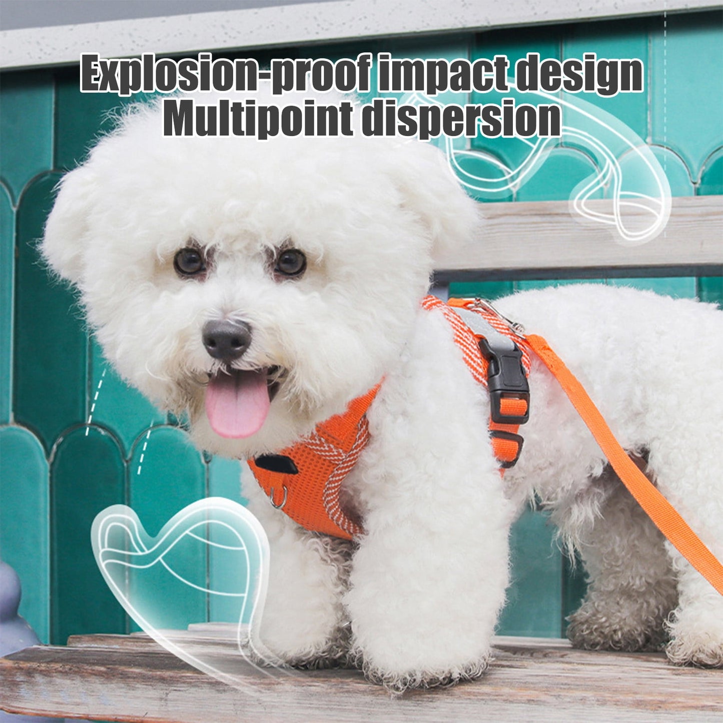 Orange Reflective Step-In Dog & Cat Harness with Lead | Small & Medium Pets