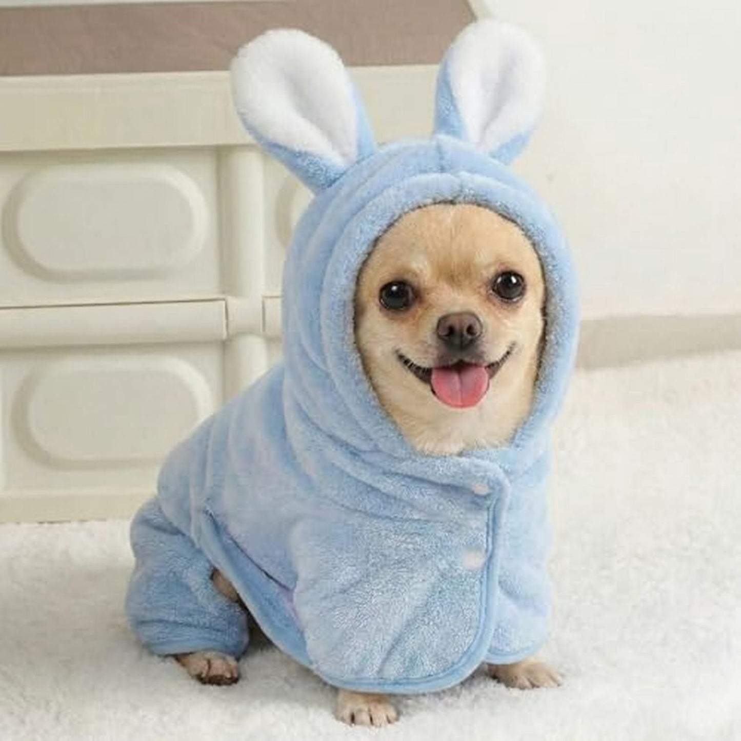 Puppy Bathrobe with Hood | Absorbent Fast-Drying Dog Robe Towel | XS Blue