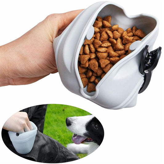Silicone Dog Treat Pouch 2-Pack