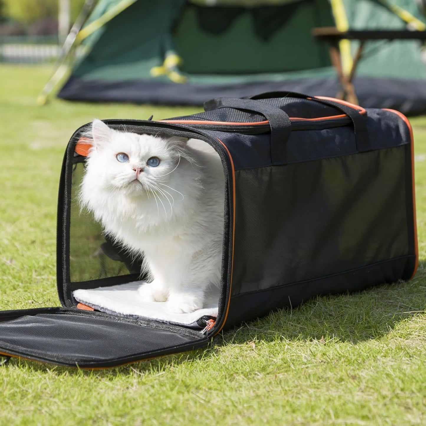 Soft Pet Carrier Travel Bag | Large Cats 20lbs+ and Small Dogs | Breathable Softside