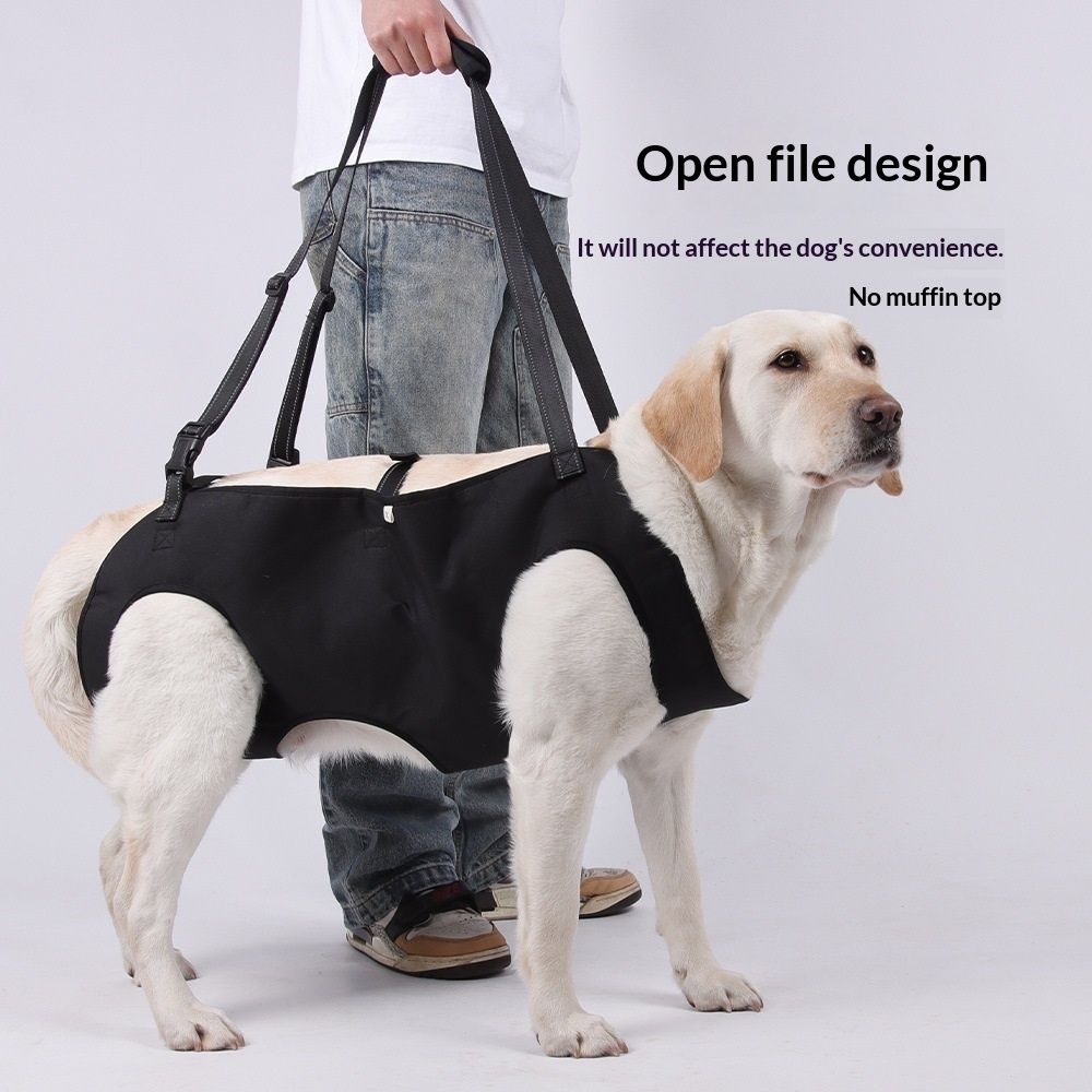 Dog Lift Harness | Rehabilitation Sling Carrier | Adjustable Straps | Senior Dogs | S