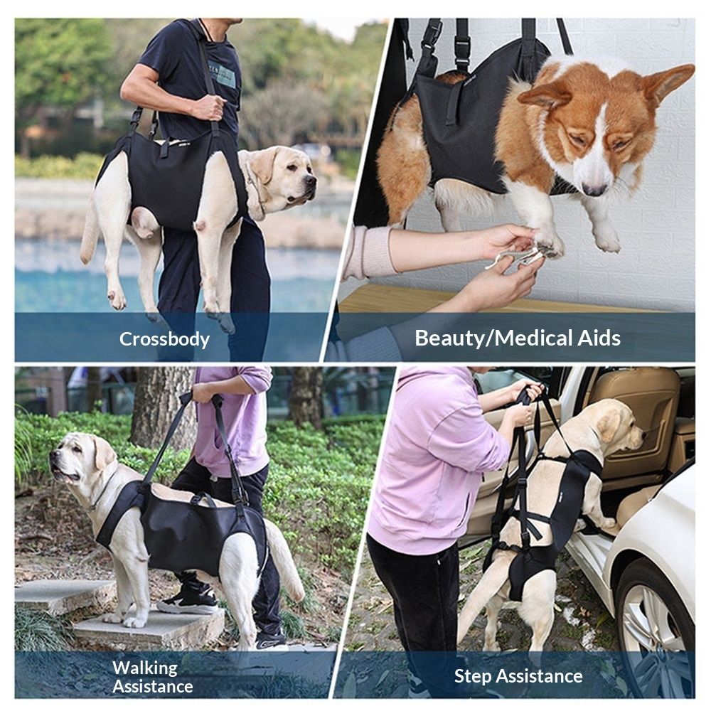Dog Lift Harness | Rehabilitation Sling Carrier | Adjustable Straps | Senior Dogs | S