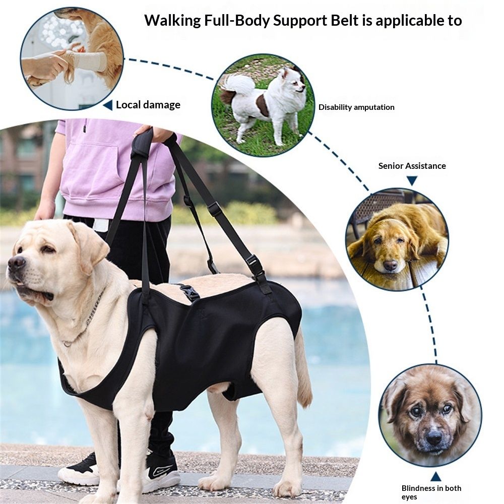 Dog Lift Harness | Rehabilitation Sling Carrier | Adjustable Straps | Senior Dogs | S